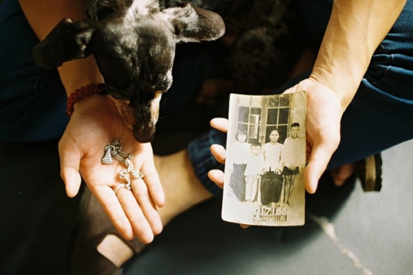 A dog looks at a hand holding jewelry while another hand holds a picture of a family