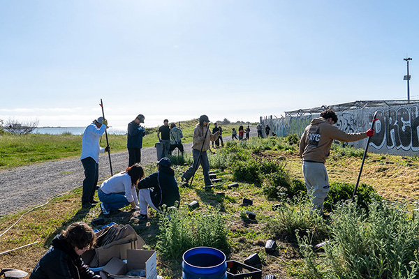 volunteers planting local native flowers
