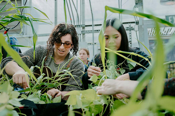 SFSU Students potting plants in the University Greenhouse