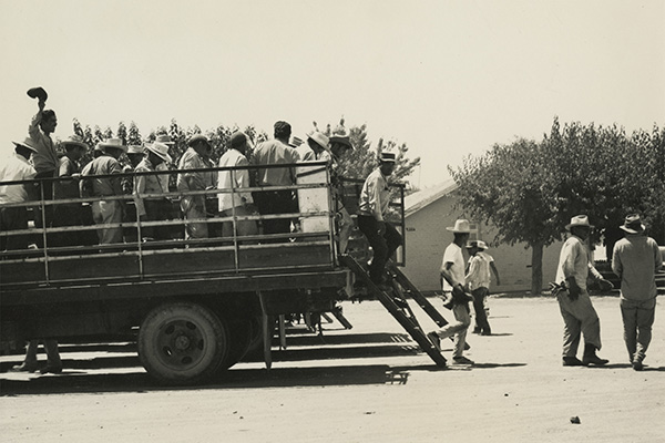 Agricultural workers in a cargo truck