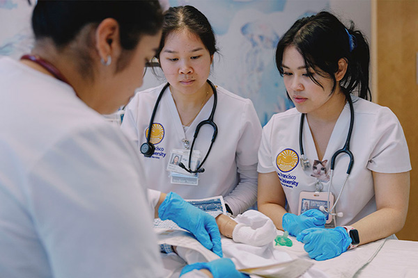 Nursing students observing a lab
