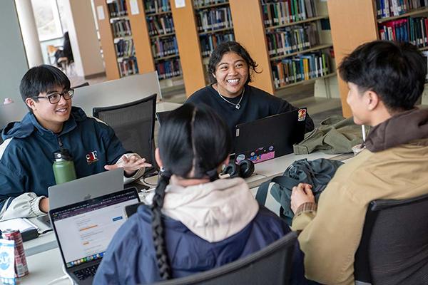 Students in the library studying together