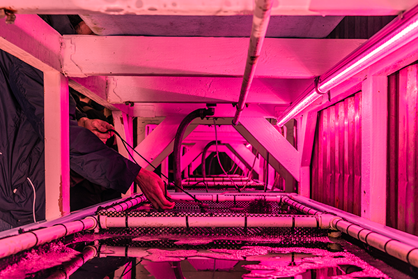 A close-up of a person placing a video camera in a water tank in a room with dark lavender lighting.