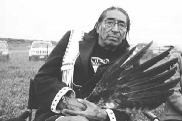 Lakota Elder David Swallow Jr. sitting in open grassland, holding a feather bundle. He gazes into the camera with one eyebrow raised, his expression calm and inquisitive. A few automobiles are parked in the background, and a person is partially out of frame.