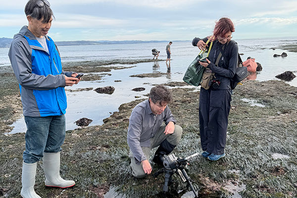 Three researchers filming the tide pools