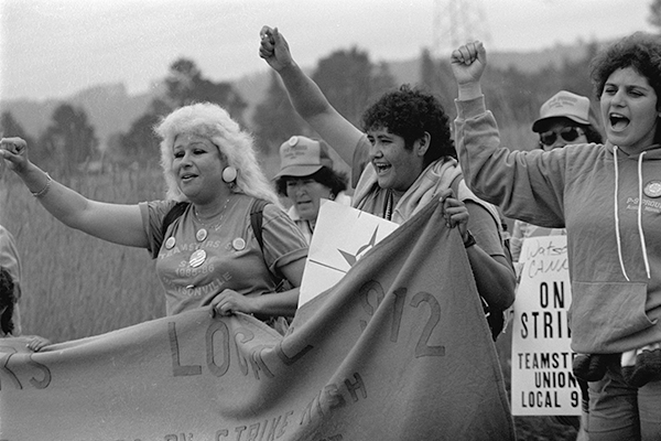 Five Watsonville Strikers holding a banner and signs. The three in front have their right arms raised, fists clenched and appear to be chanting.